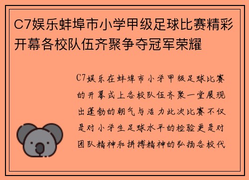 C7娱乐蚌埠市小学甲级足球比赛精彩开幕各校队伍齐聚争夺冠军荣耀